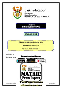 IsiZulu HL P2 Feb-March 2018.pdf